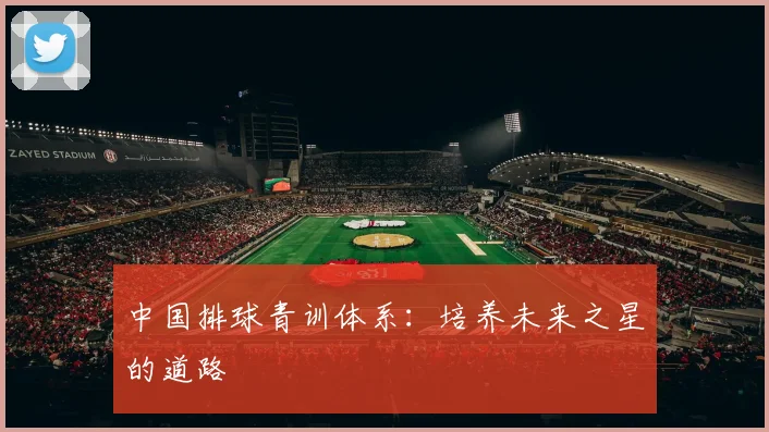中国排球青训体系:培养未来之星的道路